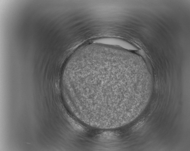 X0000058760441200510281922