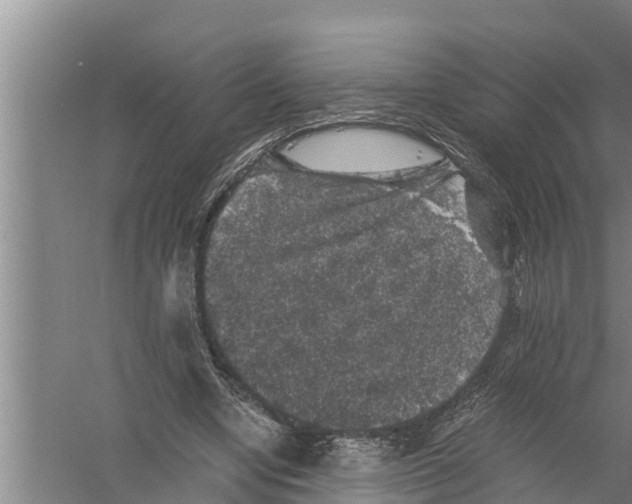 X0000058760442200510281922