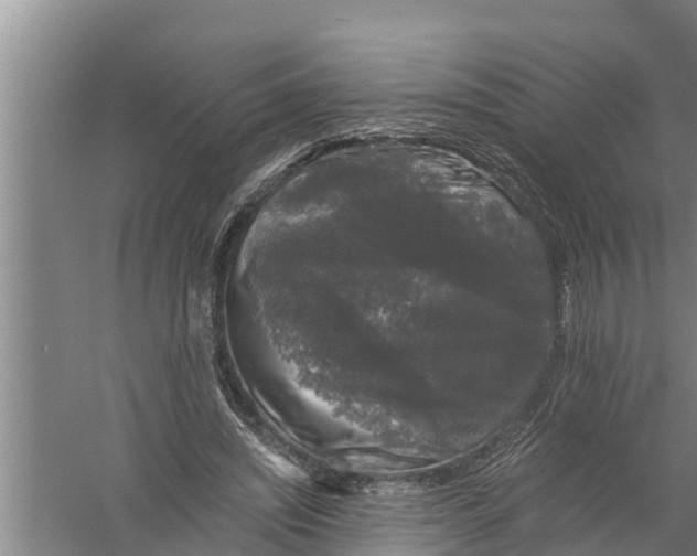 X0000058760444200510281922