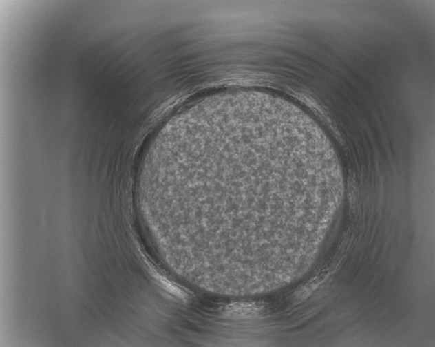 X0000058760445200510281922