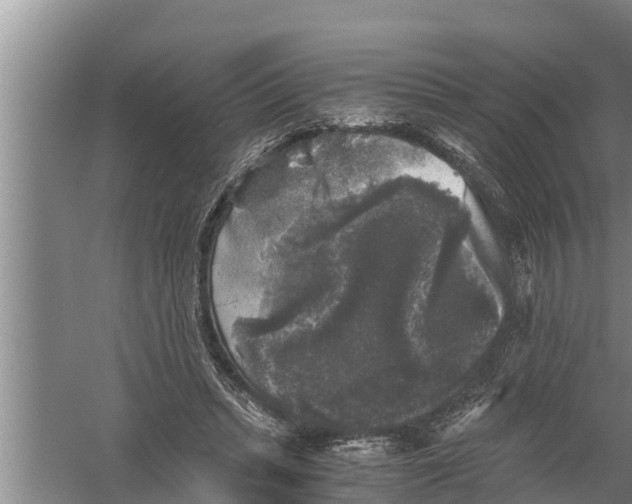 X0000058760447200510281922