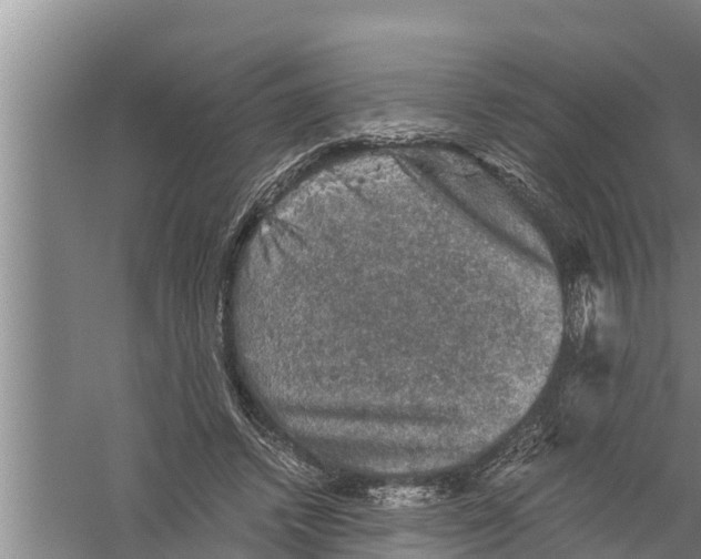 X0000058760448200510281922