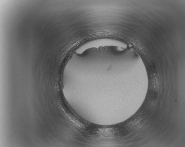 X0000058760450200510281922