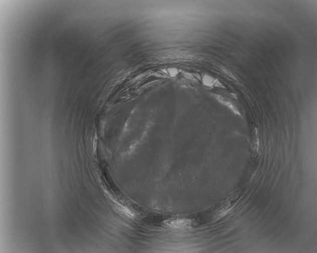 X0000058760452200510281922