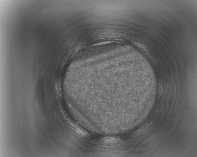 X0000058760453200510281922