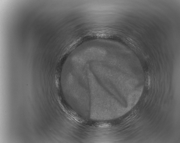 X0000058760456200510281922