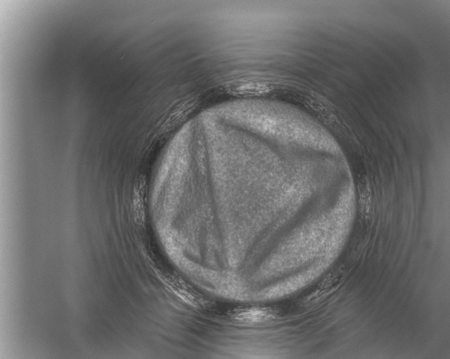 X0000058760460200510281922