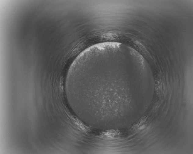 X0000058760466200510281922