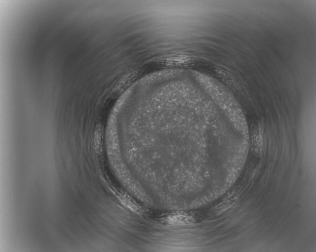 X0000058760468200510281922