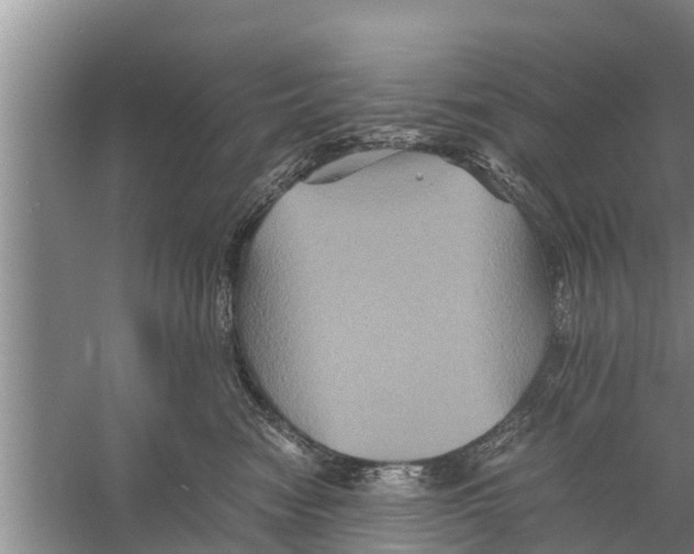 X0000058760474200510281923