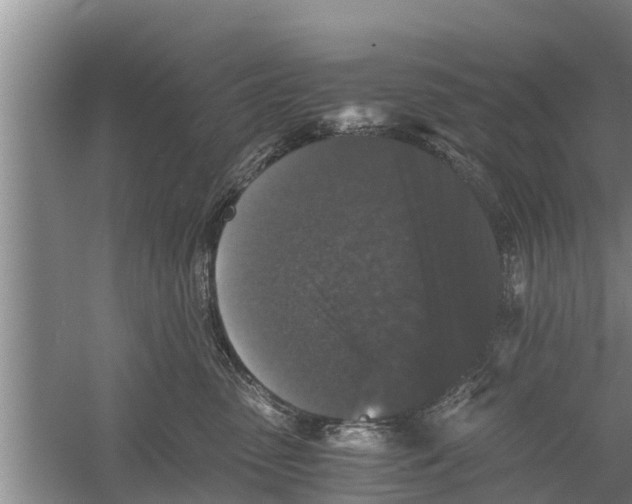 X0000058760475200510281923