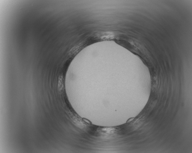 X0000058760478200510281923