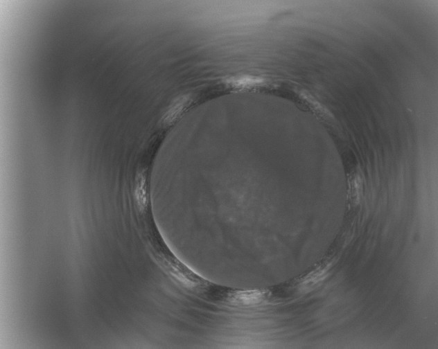 X0000058760479200510281923