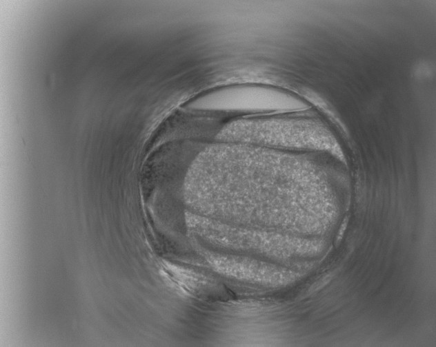 X0000058760481200510281922