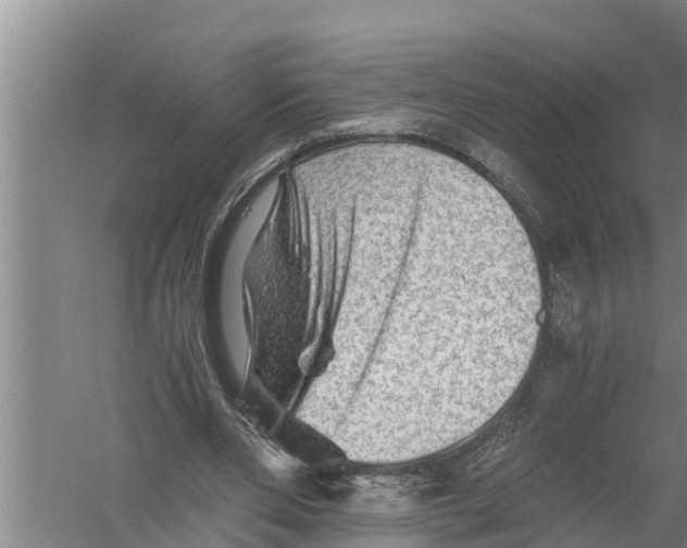 X0000058760486200510281922