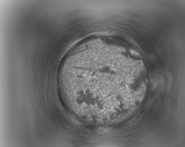 X0000058760487200510281922