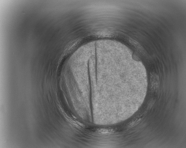 X0000058760494200510281922