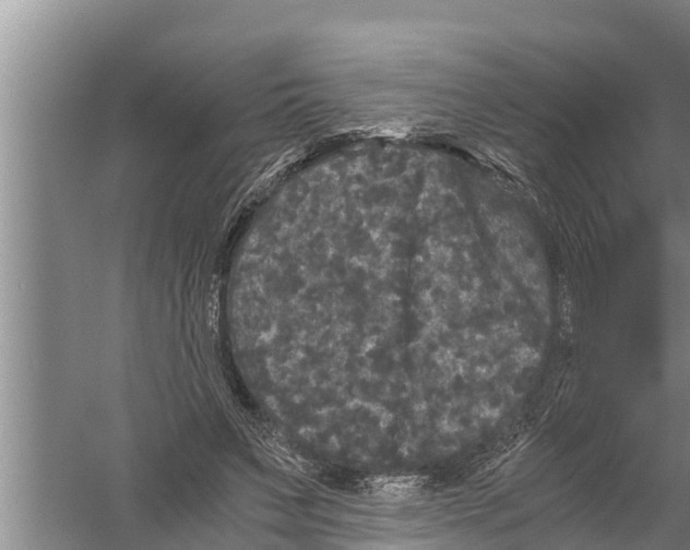 X0000058760495200510281922