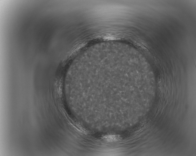 X0000058760499200510281922