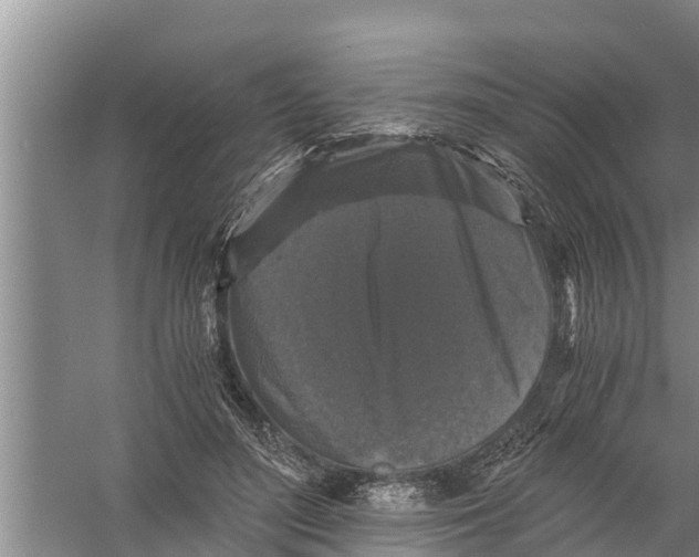 X0000058760500200510281922