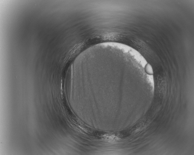 X0000058760502200510281921