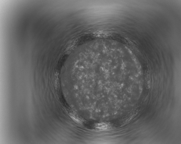 X0000058760511200510281921