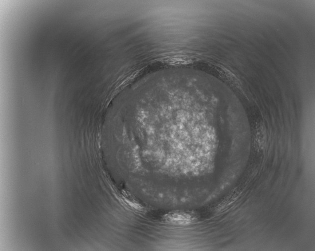 X0000058760512200510281921