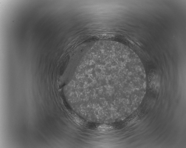 X0000058760515200510281921