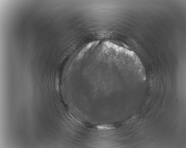 X0000058760516200510281921