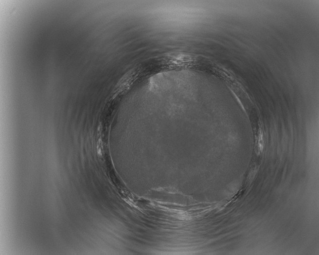 X0000058760520200510281921