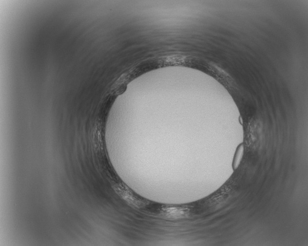 X0000058760522200510281921