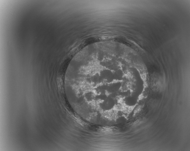 X0000058760523200510281921