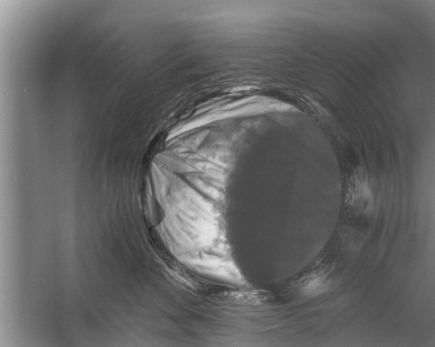 X0000058760524200510281921