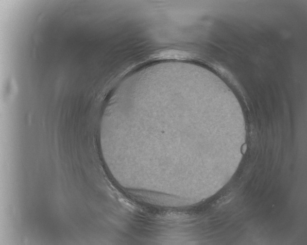 X0000058760529200510281920