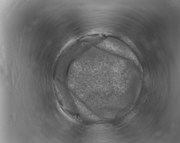 X0000058760530200510281920