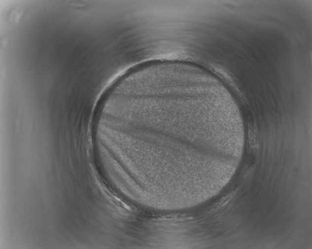 X0000058760532200510281920