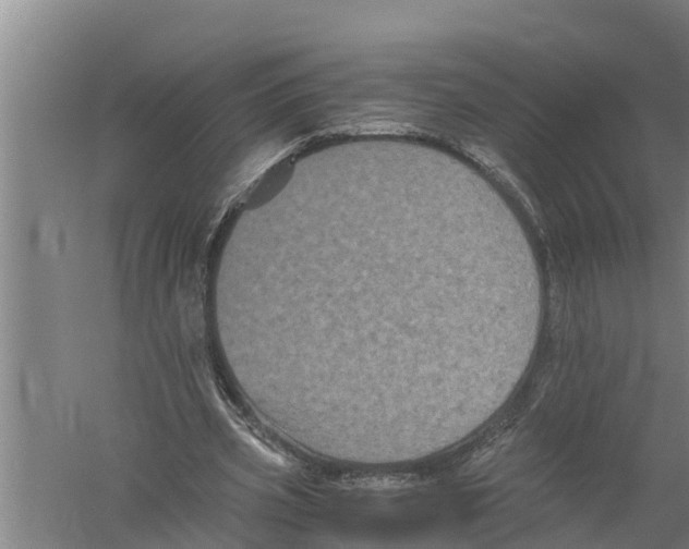 X0000058760533200510281920