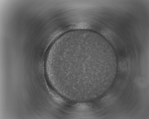 X0000058760534200510281920