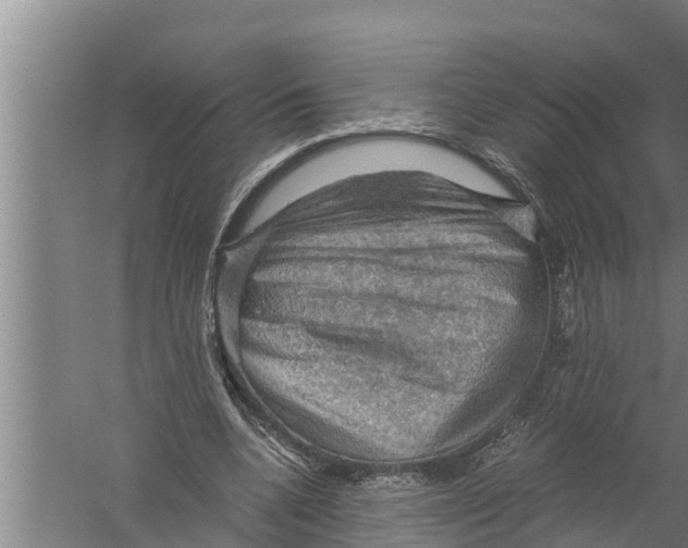 X0000058760536200510281920