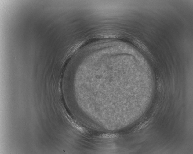 X0000058760537200510281920