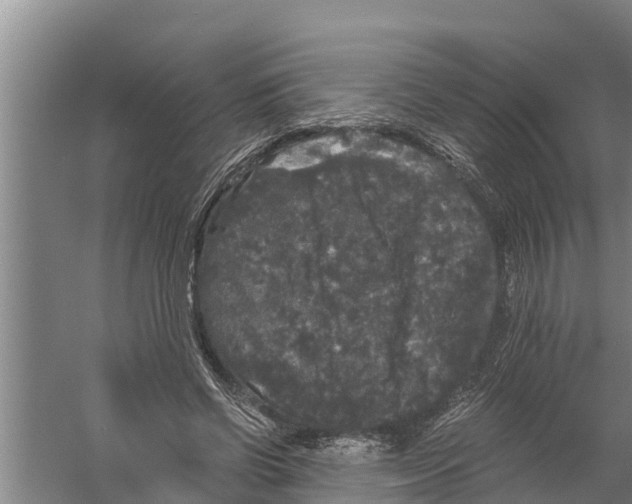 X0000058760542200510281920