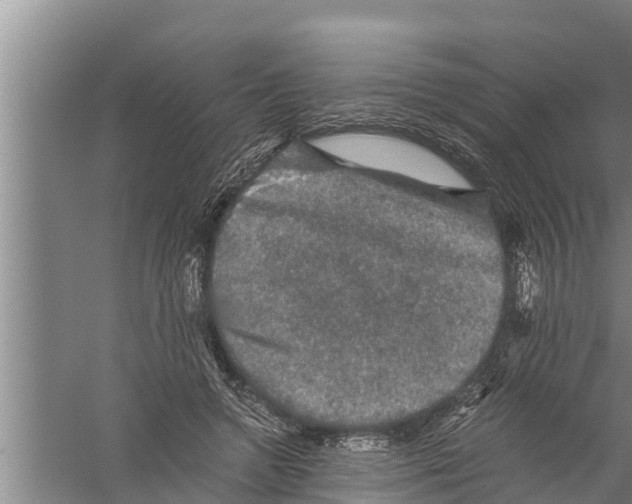 X0000058760546200510281921