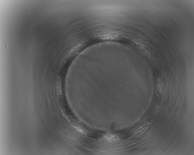 X0000058760547200510281921