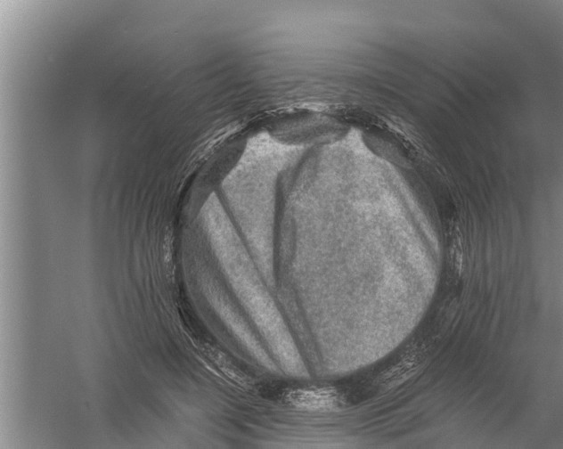 X0000058760548200510281921