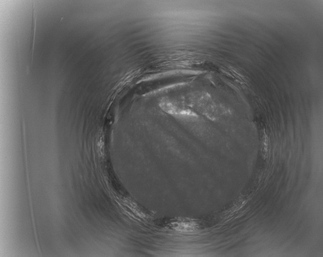 X0000058760552200510281921