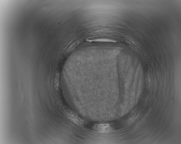 X0000058760554200510281921