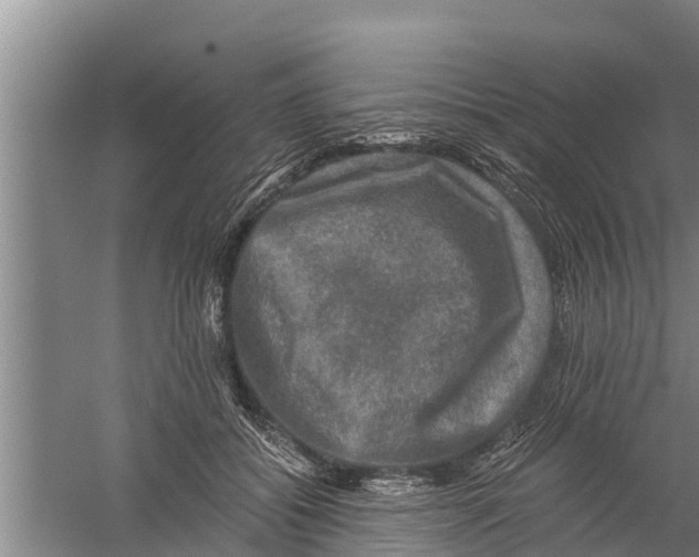 X0000058760556200510281921