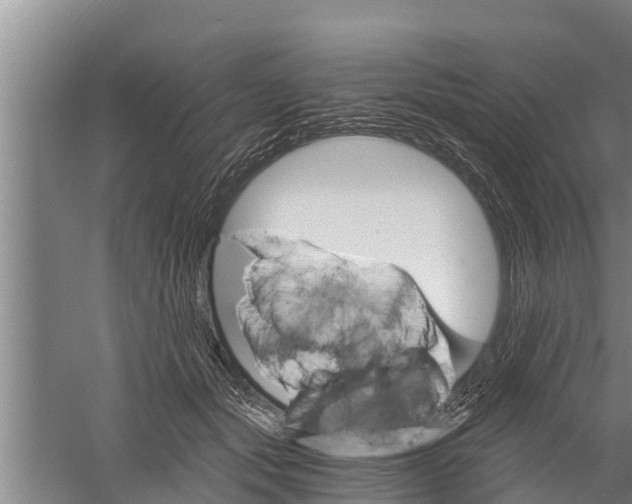 X0000058760557200510281921