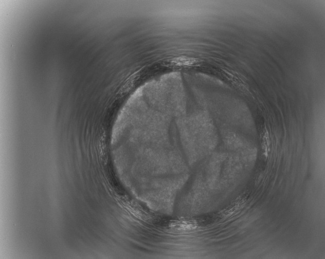 X0000058760559200510281921