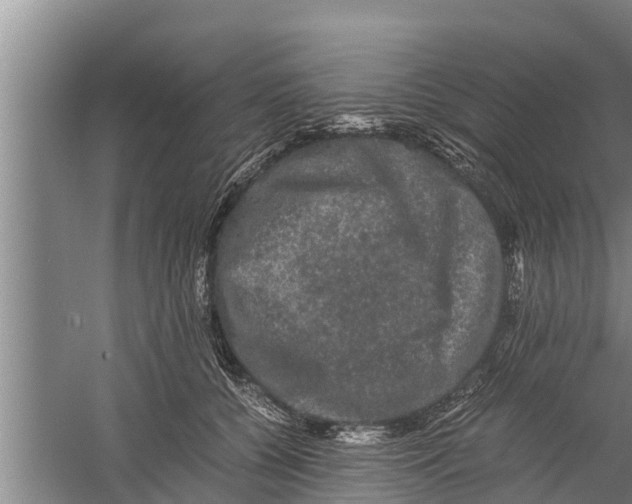 X0000058760560200510281921